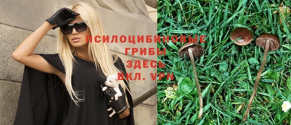 прущие крисы Богданович