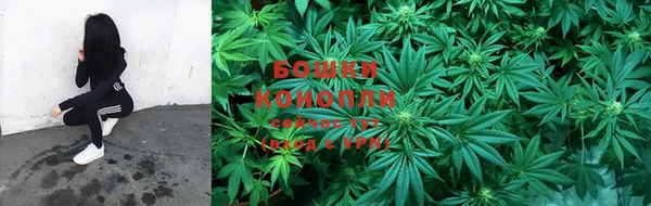 прущие крисы Богданович