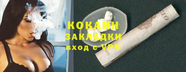 прущие крисы Богданович