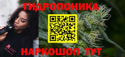 молекула духа Славгород