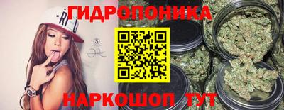 молекула духа Славгород