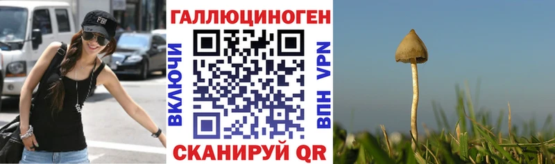 даркнет сайт  OMG tor  Галлюциногенные грибы ЛСД  Среднеуральск 