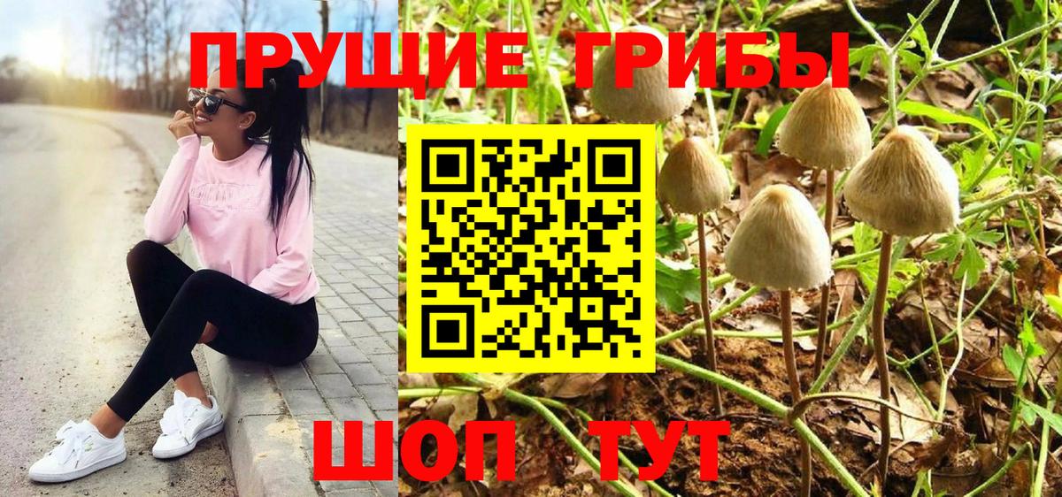 Галлюциногенные грибы ЛСД Среднеуральск