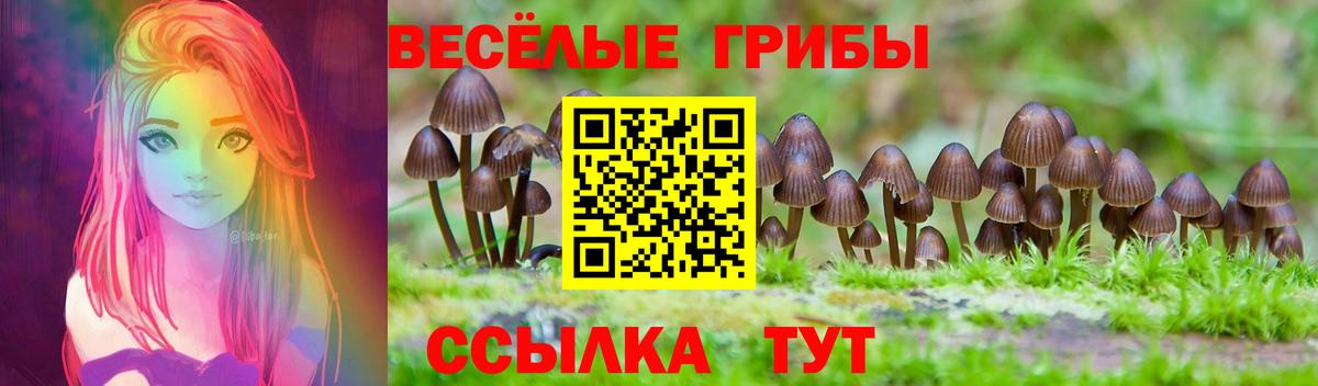 Галлюциногенные грибы Cubensis  Вход с VPN  как найти закладки  Галлюциногенные грибы MAGIC MUSHROOMS  Среднеуральск 